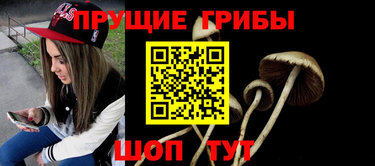 Псилоцибиновые грибы MAGIC MUSHROOMS  где купить наркоту  Камень-на-Оби  Вход с VPN 