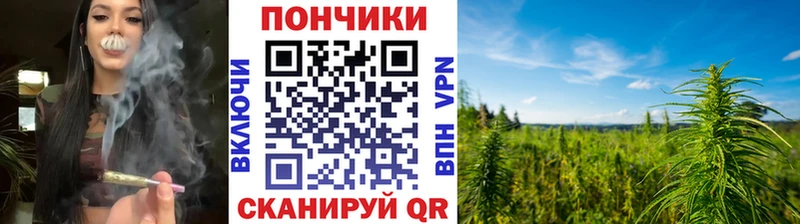 продажа наркотиков  Камень-на-Оби  Бошки марихуана сатива 